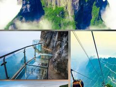 -张家界天门山国家森林公园