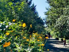 -长春公园(普阳街道)