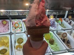 -柠檬车露(卖草地店)