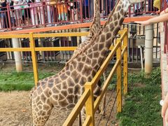 -西霞口神雕山野生动物世界