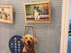 -瑞派·关忠动物医院(国瑞店)