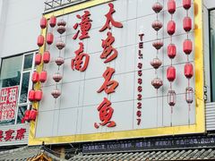 -潼南太安名鱼•特色江湖菜 太安鱼