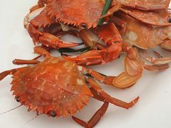 石头蟹-红红海鲜大排档
