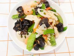 -田螺阿姨自营月嫂·育儿嫂(高新店)