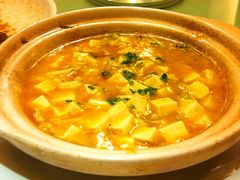 蟹粉豆腐-新南华大酒店(广中店)