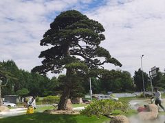 -罗红摄影艺术馆