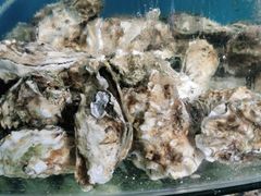 -蓝珊甄选海鲜自助·火锅大排档(近阿那亚店)