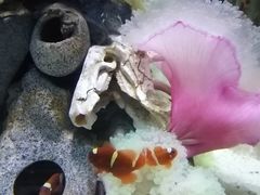 -太平洋海底世界