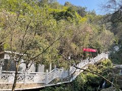 -南山植物园