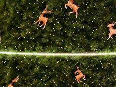 -深圳湾万象城(南山店)