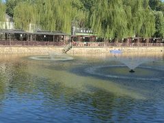 -尚庄度假村·庭台树下·户外烧烤·团建CS·轰趴营地(上庄水库店)