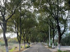 -艾溪湖湿地公园