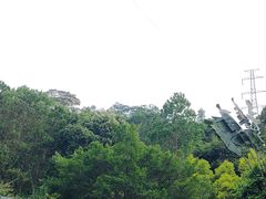 -深圳湾公园(南山区)