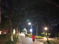 -海珠湖公园