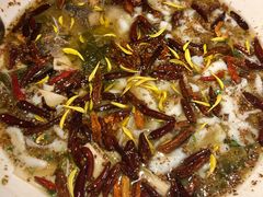 -太二酸菜鱼(福州泰禾店)