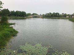 -尚贤河湿地
