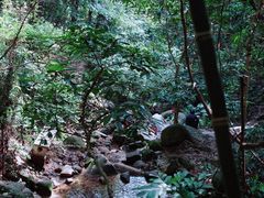 -火炉山森林公园