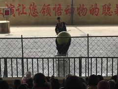 -东方熊牧场