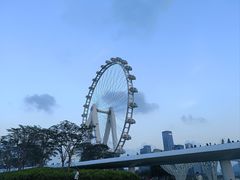-深圳湾公园(南山区)