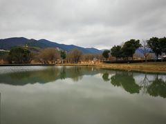 -长兴太湖图影湿地文化园