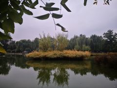 -八珍饺子·烤鸭·家常菜