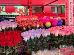 -越秀西湖花市(广州城市广场花卉店)