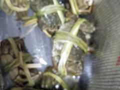 -蟹状元大闸蟹·年货·粽子(成都成华店)