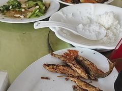 -华龙特色大骨鸡农家菜馆