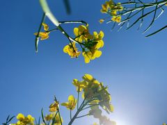 -天津武清北运河郊野公园房车露营地