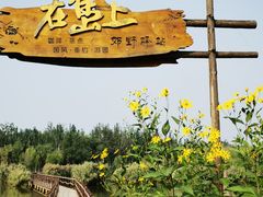 -西青郊野公园