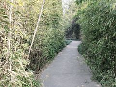 -禹州森林植物园