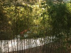 -北京望京凯悦酒店The Lounge大堂酒廊