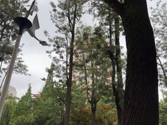 -云南省图书馆