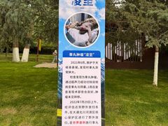 -青藏高原野生动物园