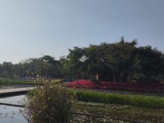 -厦门海湾公园游乐场