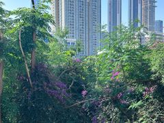 -人民公园(罗湖区)