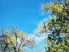 -三忘湖 SWANSEEN(柳荫公园店)