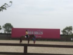 -松声马术俱乐部