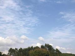 -石湾服务区-停车场