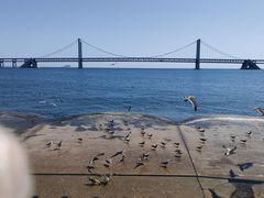 -星海广场