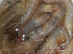 基围虾-红鼎豆捞·非遗鲍皇汤火锅(宝丰路店)