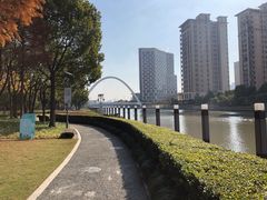 -陈家山荷花公园