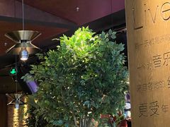 -同仁四季椰子鸡(宝安壹方城店)