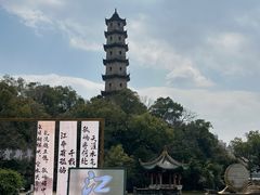 -江心屿景区