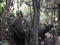 -青青世界