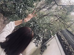 -杭州黄龙洞