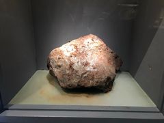 -重庆自然博物馆(新馆)