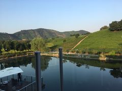 -帐篷客·溪龙茶谷度假酒店