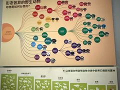 -广东省博物馆