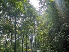 -广州市帽峰山景区